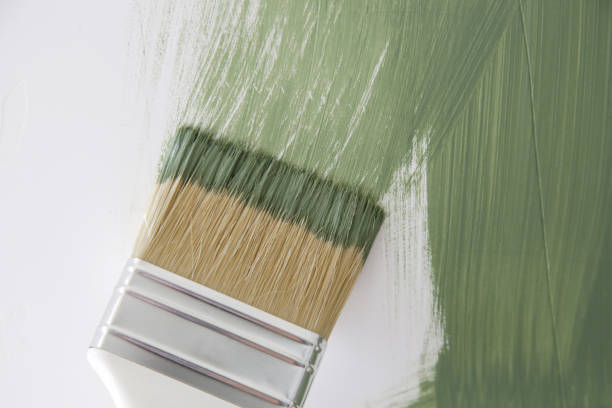  Pine Bluffs, WY Mold Removal Pros