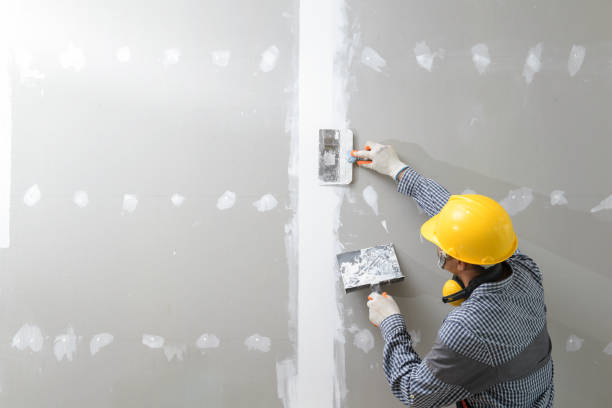 Best Dehumidification Services  in Pine Bluffs, WY