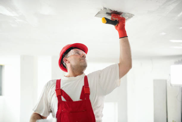 Professional Mold Removal in Pine Bluffs, WY