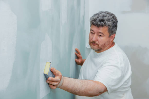 Best Water Damage & Mold Remediation  in Pine Bluffs, WY