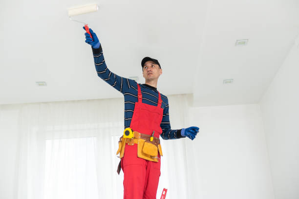 Best Mold Damage Restoration  in Pine Bluffs, WY