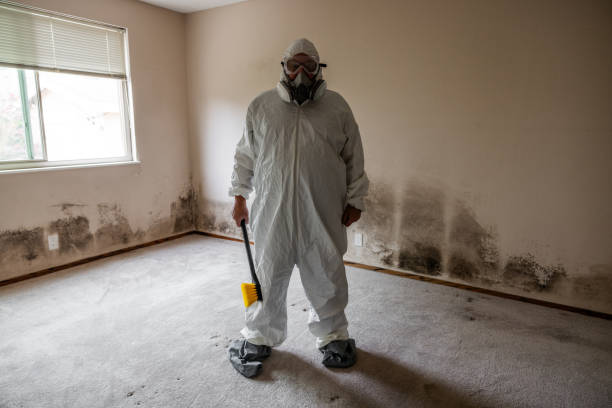 Best Comprehensive Air Testing for Mold Contaminants  in Pine Bluffs, WY