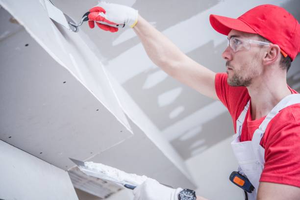 Best Mold Remediation for Healthcare Facilities  in Pine Bluffs, WY